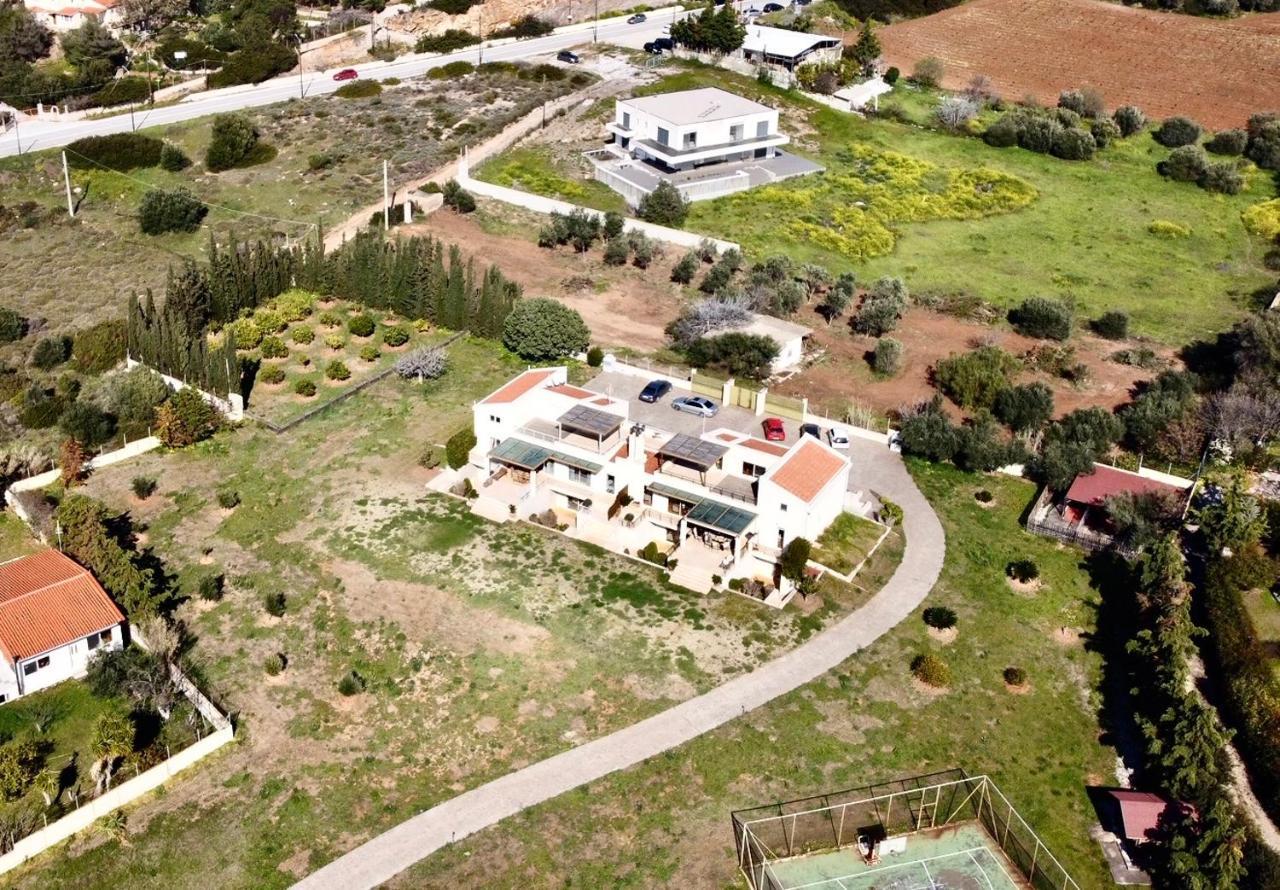 Legrena Beach Villa スーニオ エクステリア 写真