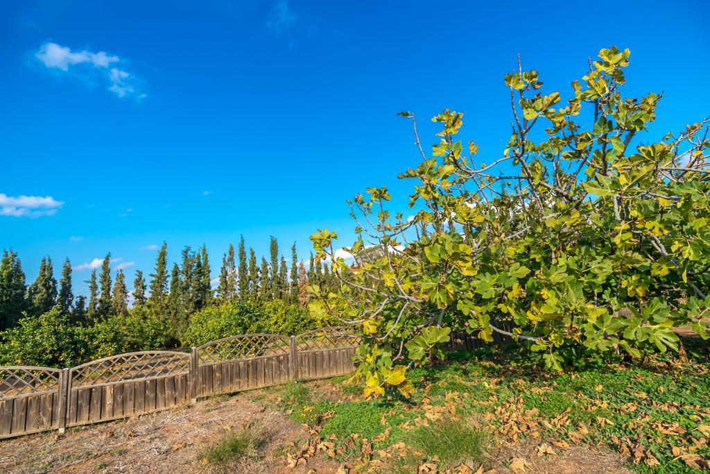 Legrena Beach Villa スーニオ エクステリア 写真
