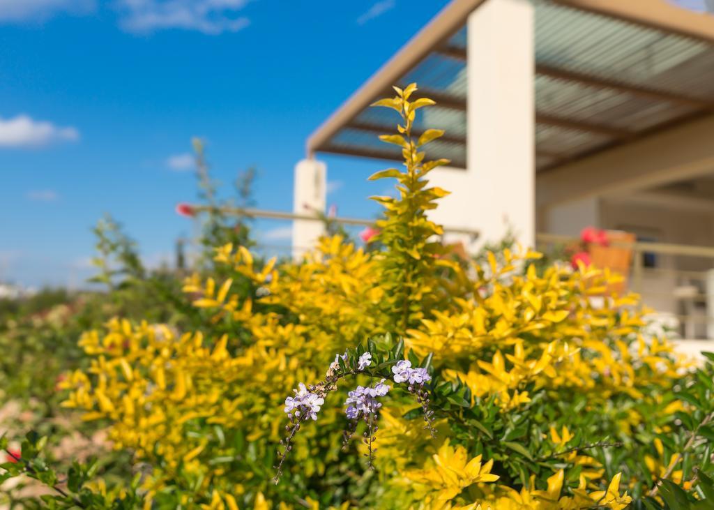Legrena Beach Villa スーニオ エクステリア 写真